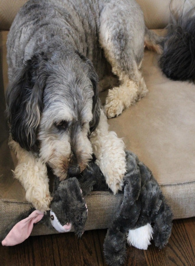 سبوت لعبة أرنب SPOT Skinneeez Tons-O-Squeakers للكلاب - مع 19 صفارة لمزيد من المرح! خالية من الحشو، مثالية للكلاب التي تمضغ بشكل معتدل، لعبة شد مناسبة للجراء والكلاب متوسطة وكبيرة الحجم - 20 بوصة، أشكال متنوعة - Image 4